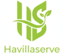 Havillaserve Logo